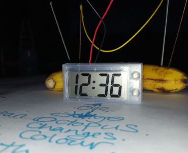 The banana clock at the heart of the Future Machine