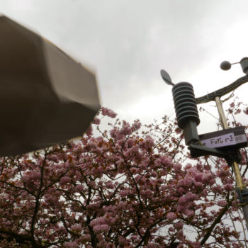 strange octagonal device flying through the sky above a fully blossoming cherry tree, on the right is a weather station with wind, rain and temperature sensors and a sign with the word 'Future' printed on it