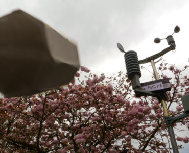strange octagonal device flying through the sky above a fully blossoming cherry tree, on the right is a weather station with wind, rain and temperature sensors and a sign with the word 'Future' printed on it