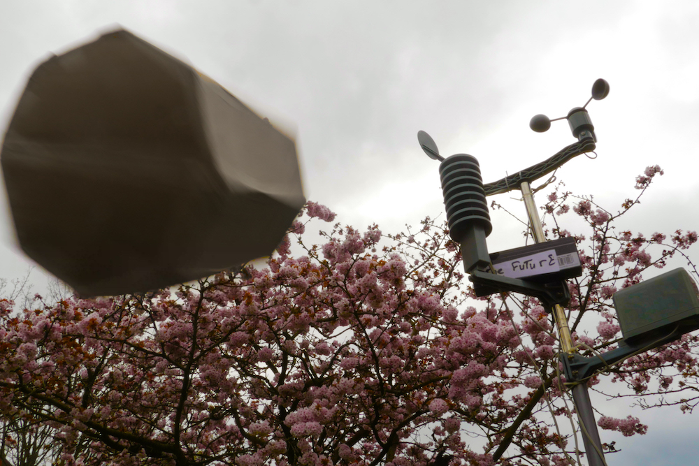 strange octagonal device flying through the sky above a fully blossoming cherry tree, on the right is a weather station with wind, rain and temperature sensors and a sign with the word 'Future' printed on it