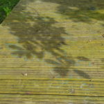 leaf shadows traced in chalk in Juliet's garden in Oxfordshire