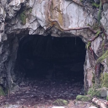 Tilberthwaite Quarry cave, dripping water from a tree root, moss, slate