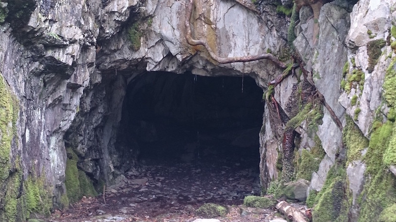 Tilberthwaite Quarry cave, dripping water from a tree root, moss, slate