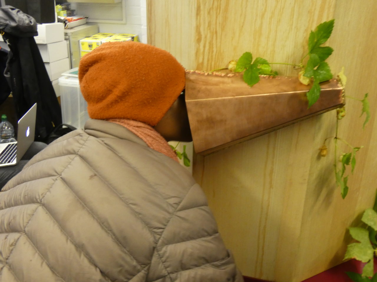 woman in orange hat talking into the copper trumpet with hops decorating the machine