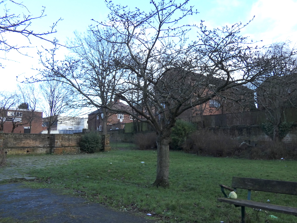 the Cherry Tree in Christchurch Gardens in January, with no leaves, surrounded by rubbish and a cabbage sitting on the bench