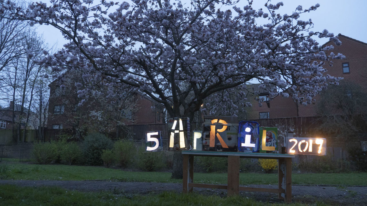 blossom tree in full blossom at dusk, light boxes on a table showing the date 5 April 2019