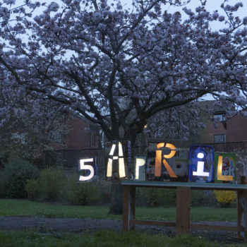 blossom tree in full blossom at dusk, light boxes on a table showing the date 5 April 2019