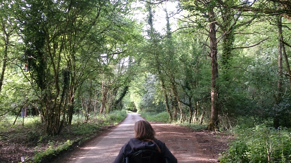 Juliet Robson from the back wheeling her chair down the path through the woods