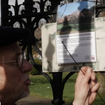 Frank Abbott in a cap tying a poster to the metal gates of Christ Church Gardens, the poster has a picture of the cherry tree in full blossom