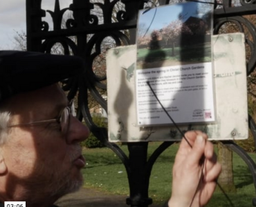 Frank Abbott in a cap tying a poster to the metal gates of Christ Church Gardens, the poster has a picture of the cherry tree in full blossom