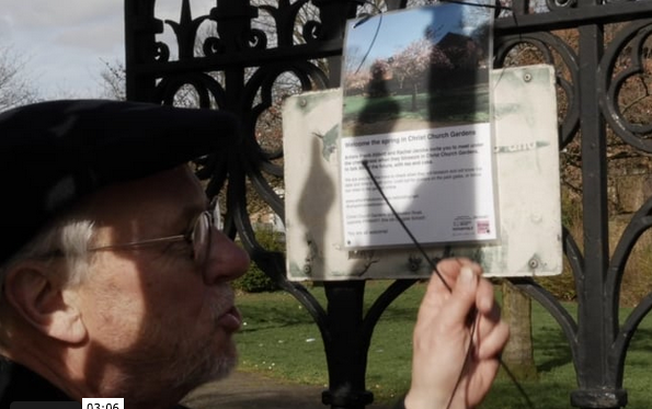 Frank Abbott in a cap tying a poster to the metal gates of Christ Church Gardens, the poster has a picture of the cherry tree in full blossom