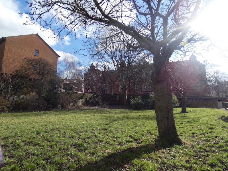 the blossom tree, Christ Church Gardens, houses, sky and sun and Primary in the distance