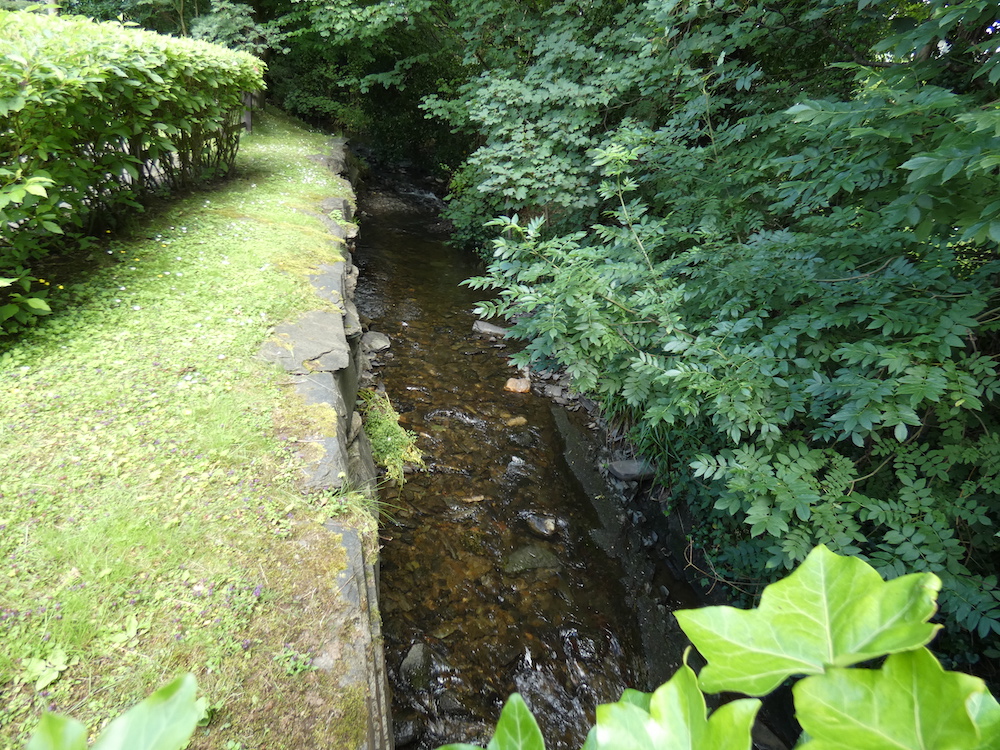 a dry stone wall, the river, trees, grass and a bush from above