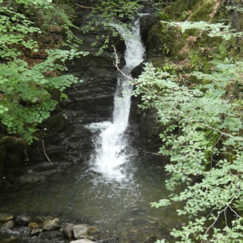 a central water fall, between slate rocks, falling into a pool of pale green, rocks and branches with green leaves on either side