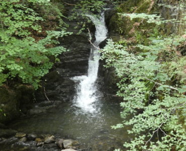 a central water fall, between slate rocks, falling into a pool of pale green, rocks and branches with green leaves on either side