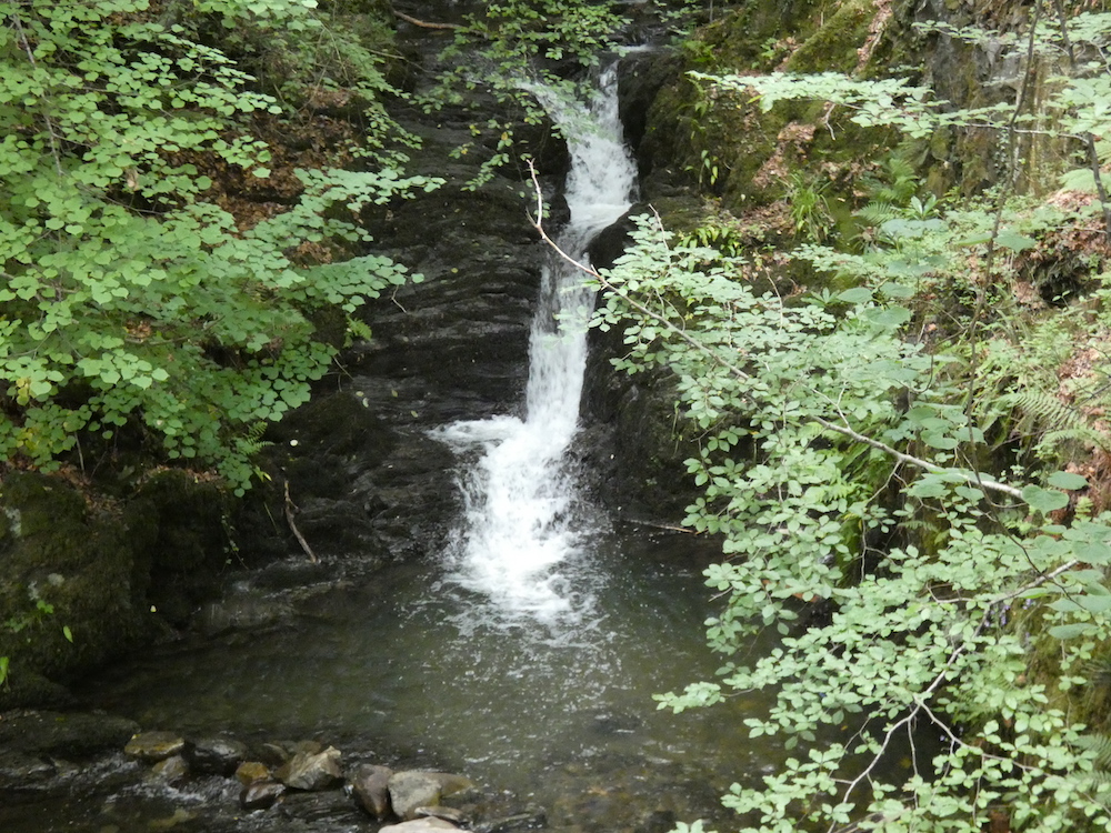 a central water fall, between slate rocks, falling into a pool of pale green, rocks and branches with green leaves on either side