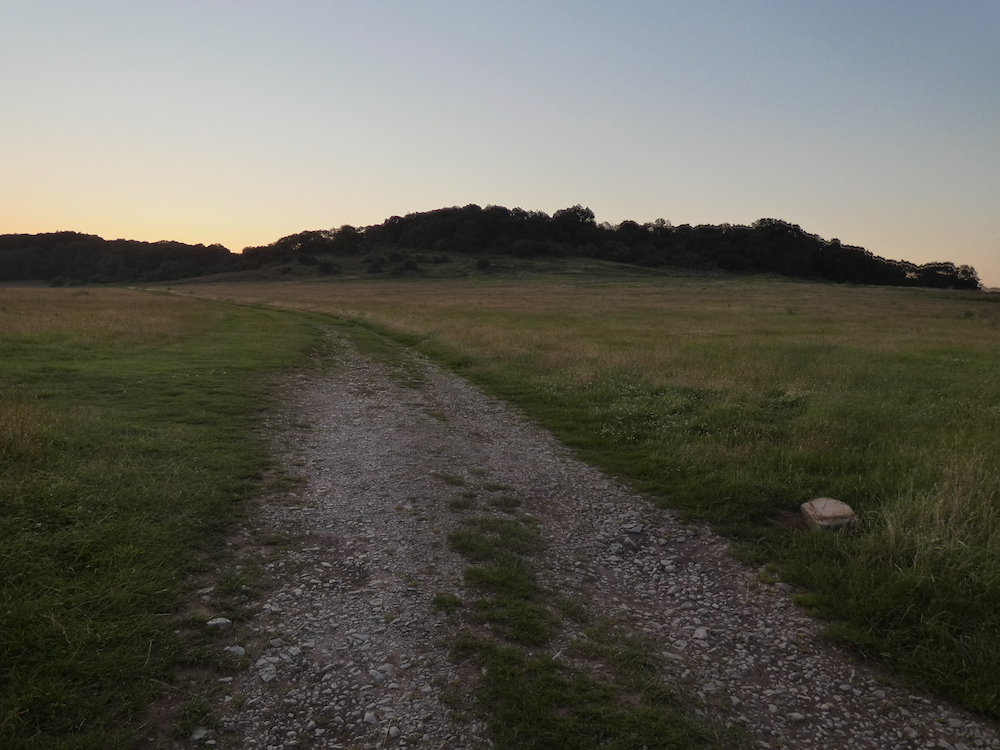 A field and stony path going into the distance woods on a hill