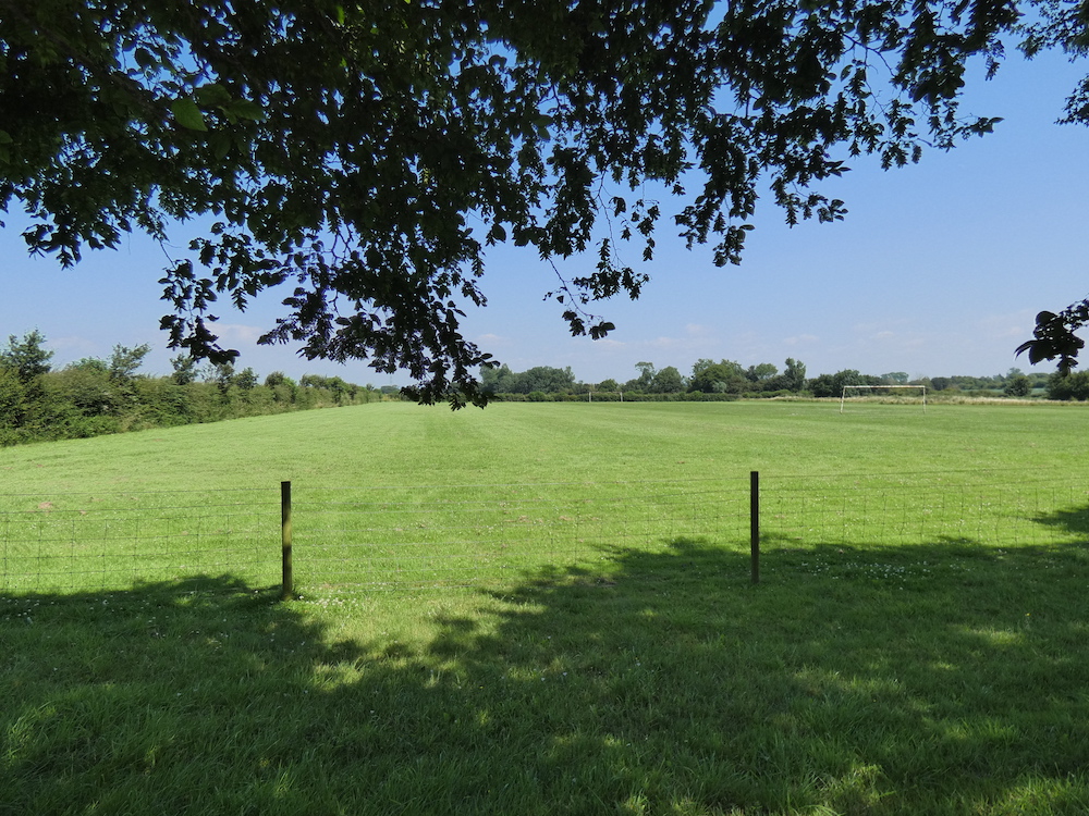 the empty playing fields with a goal post in the distance and leaves of the tree Caroline planted as a child in the foreground