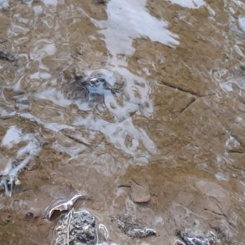 footprints under water, reflections on the water, rocks, mud at the river leven