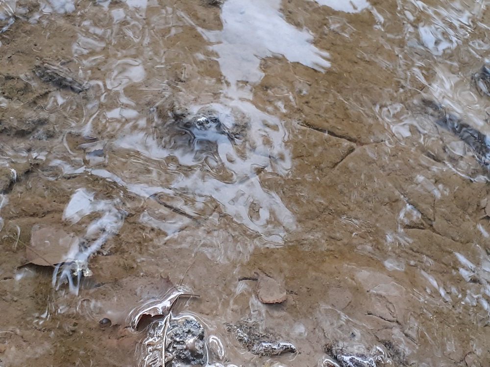 footprints under water, reflections on the water, rocks, mud at the river leven