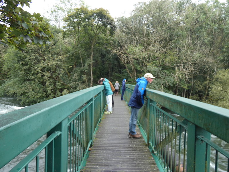 people on the green bridge looking down at the River Leven