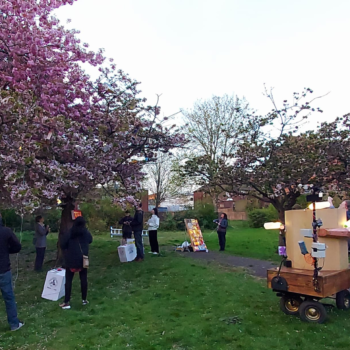 Pink blossom trees in Christ Church Gardens with light boxes in the trees, Future Machine in front with artist companion next to it and people with hand generators lighting up the trees