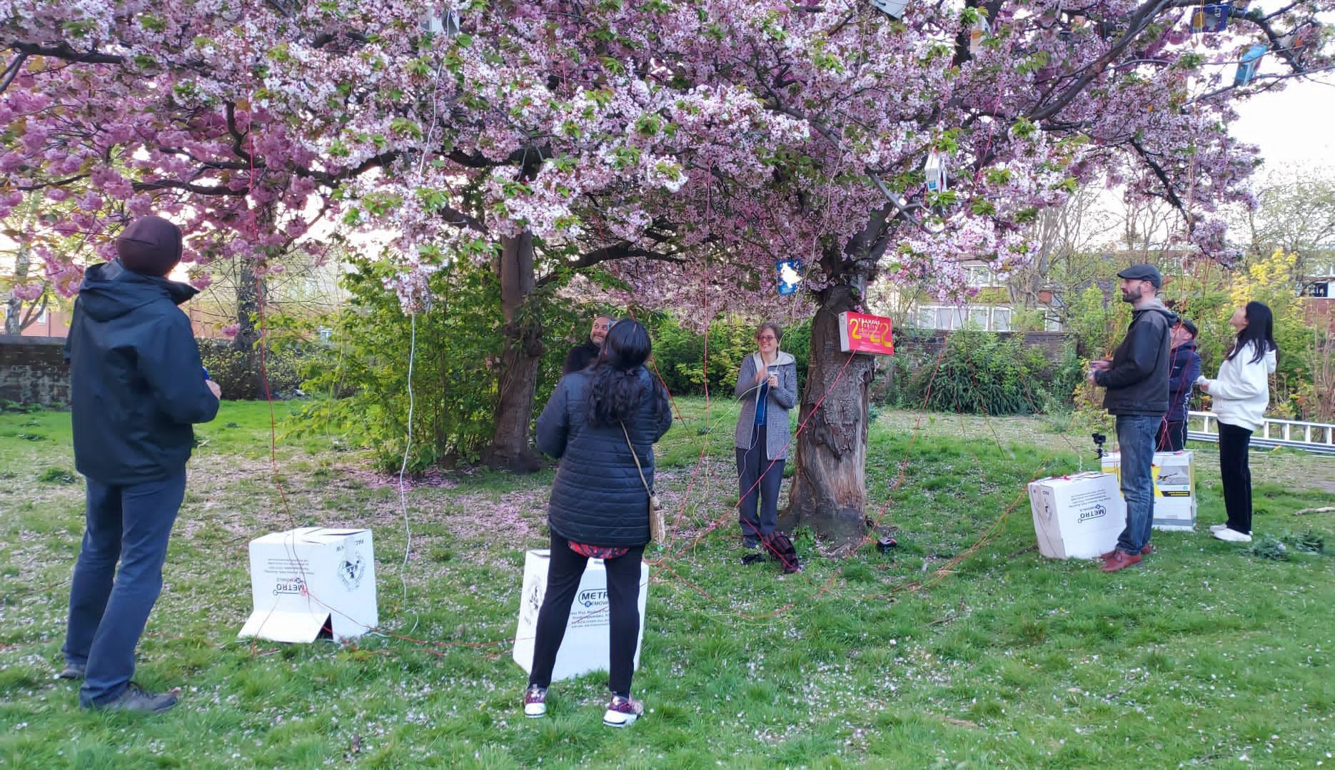 people turning hand generators, lighting up the boxes in the branches of the blossom tree