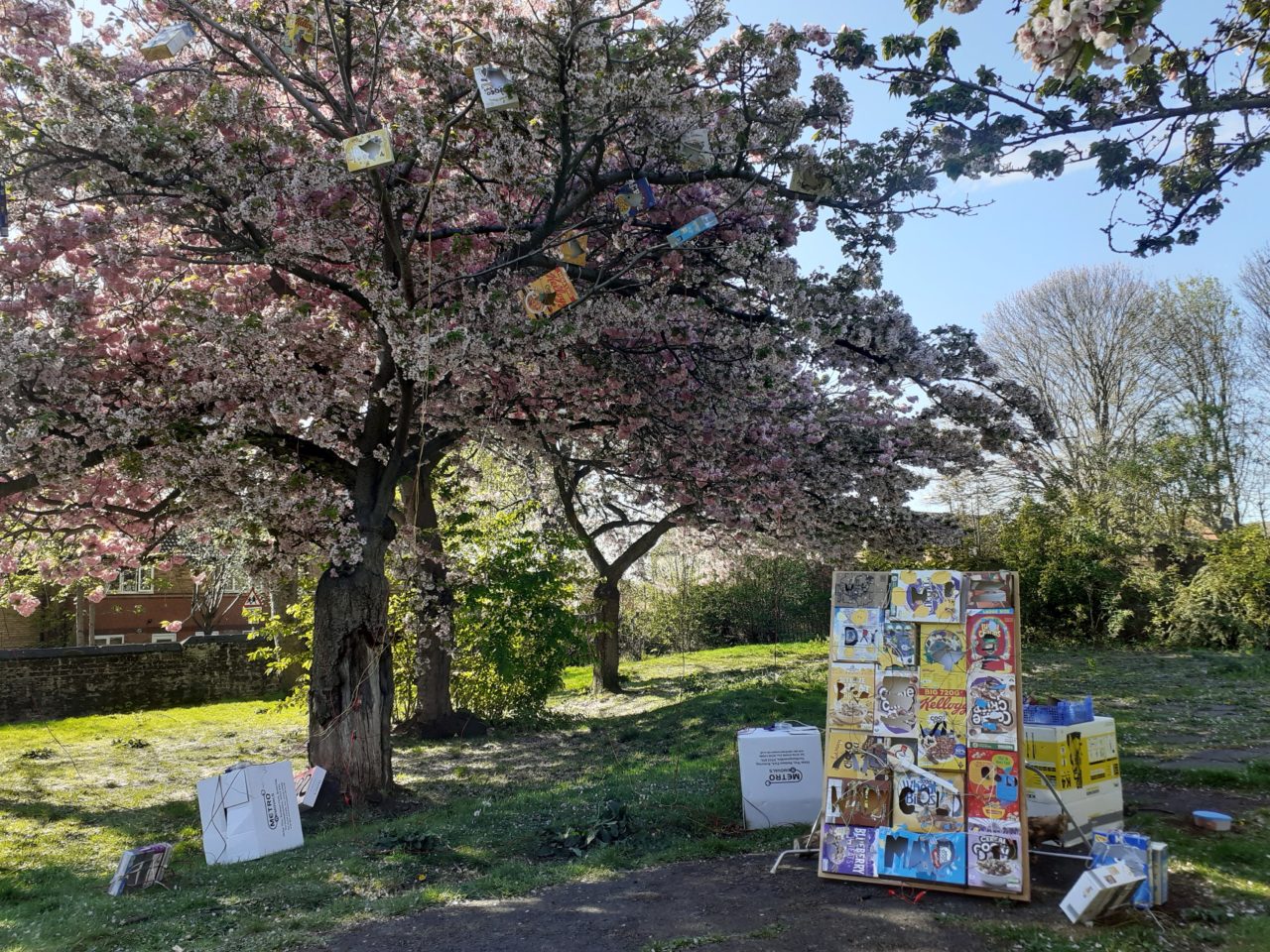 Weather light boxes, and birds in the trees made by pupils from Mellers Primary