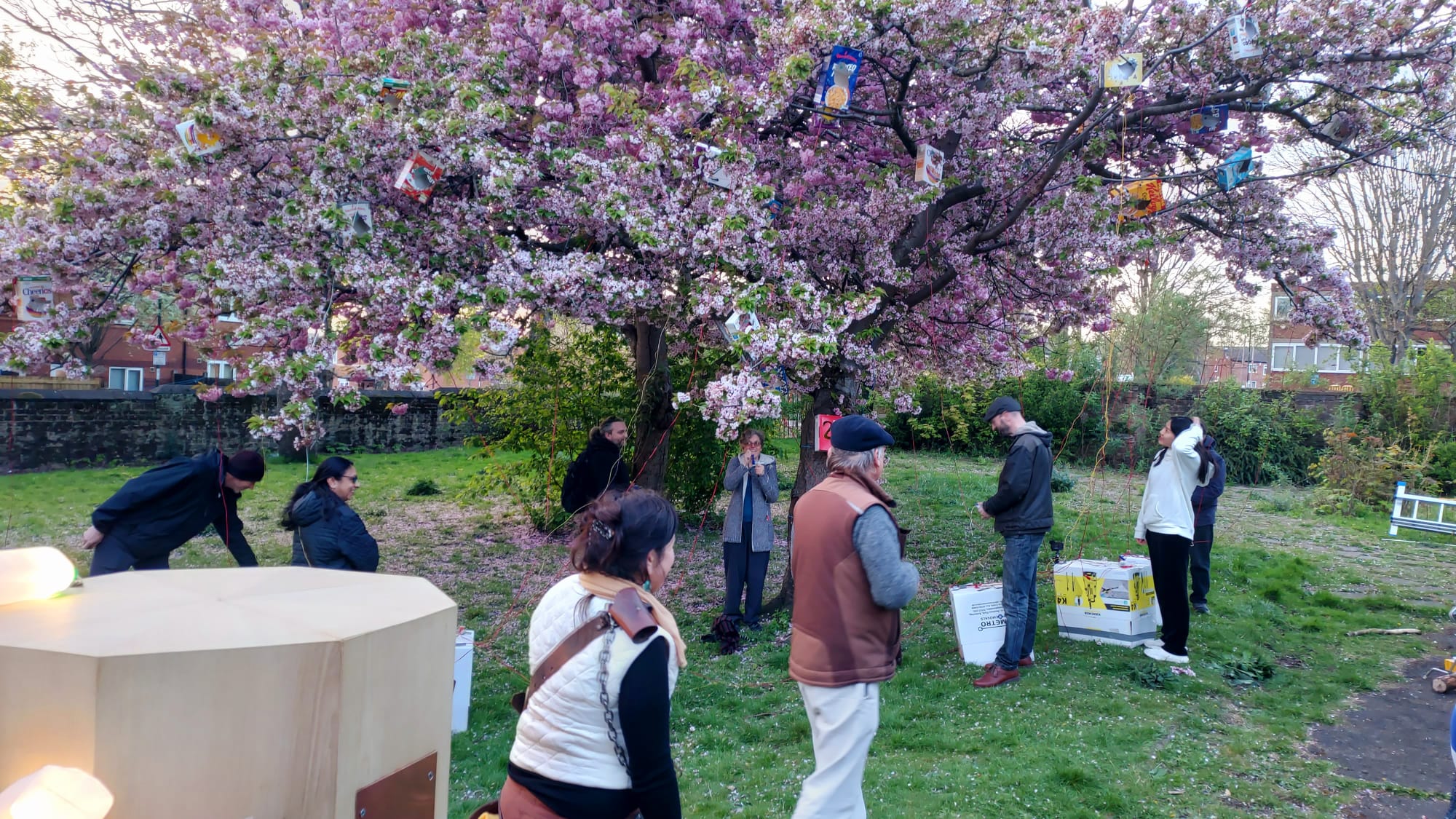 people standing around the blossom trees with lit up bird boxes in amongst the blossoms. Rachel and Frank and Future Machine in the foreground