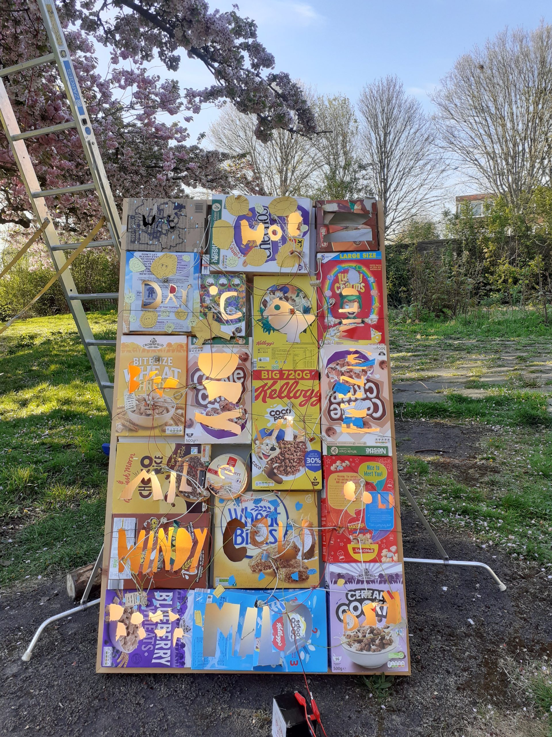 cereal boxes with words for different weather cut out on a board in christ church gardens next to a ladder and a blossom tree