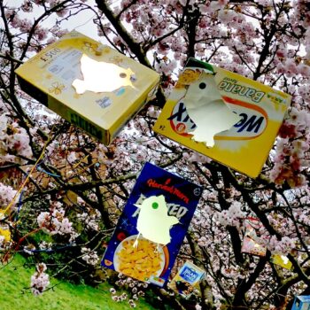 Carboard boxes with lit up bird shapes hanging amongst the pink blossom in a tree