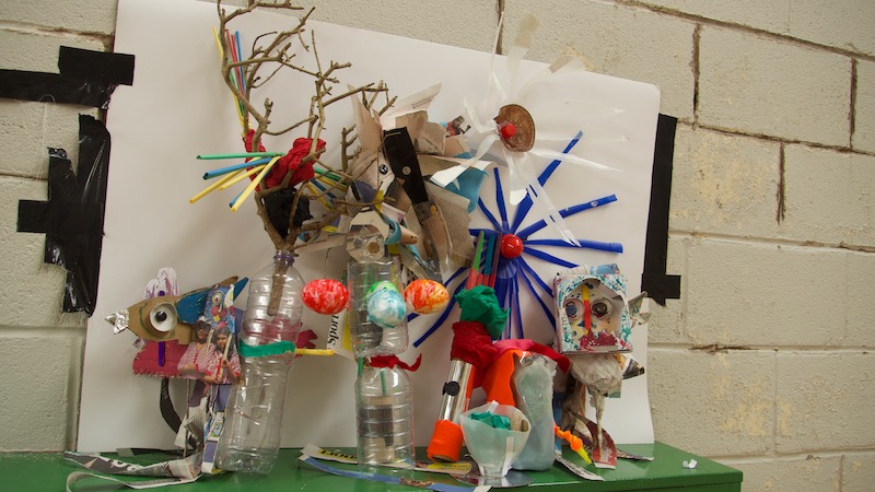 rewilding plants and animals made by pupils at Mellers School