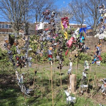 The rose garden with flowers made of litter
