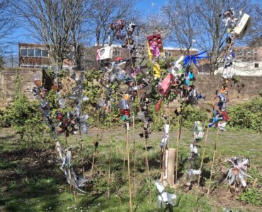 The rose garden with flowers made of litter