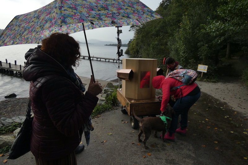 a couple and their dog speaking to the future by the lake in the rain