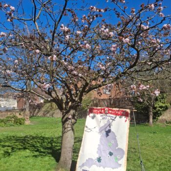 A blossom tree with the top of a large textile banner underneath with the words Future Machine The Journeys 2020-2050 embroidered on it.