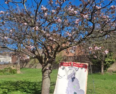 A blossom tree with the top of a large textile banner underneath with the words Future Machine The Journeys 2020-2050 embroidered on it.