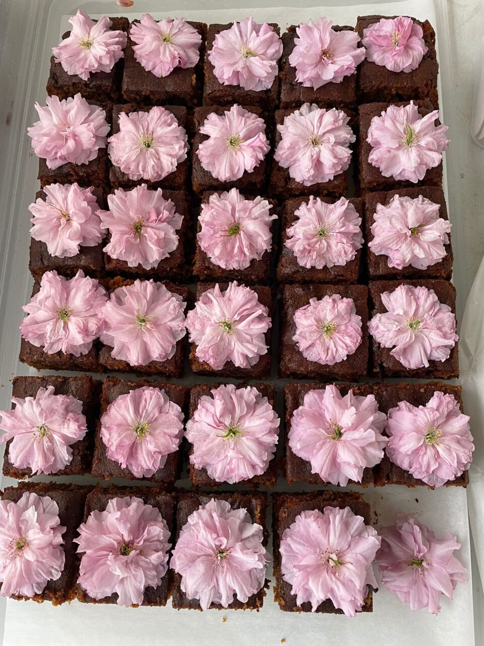 small squares of cake with pink blossoms flowers on each square