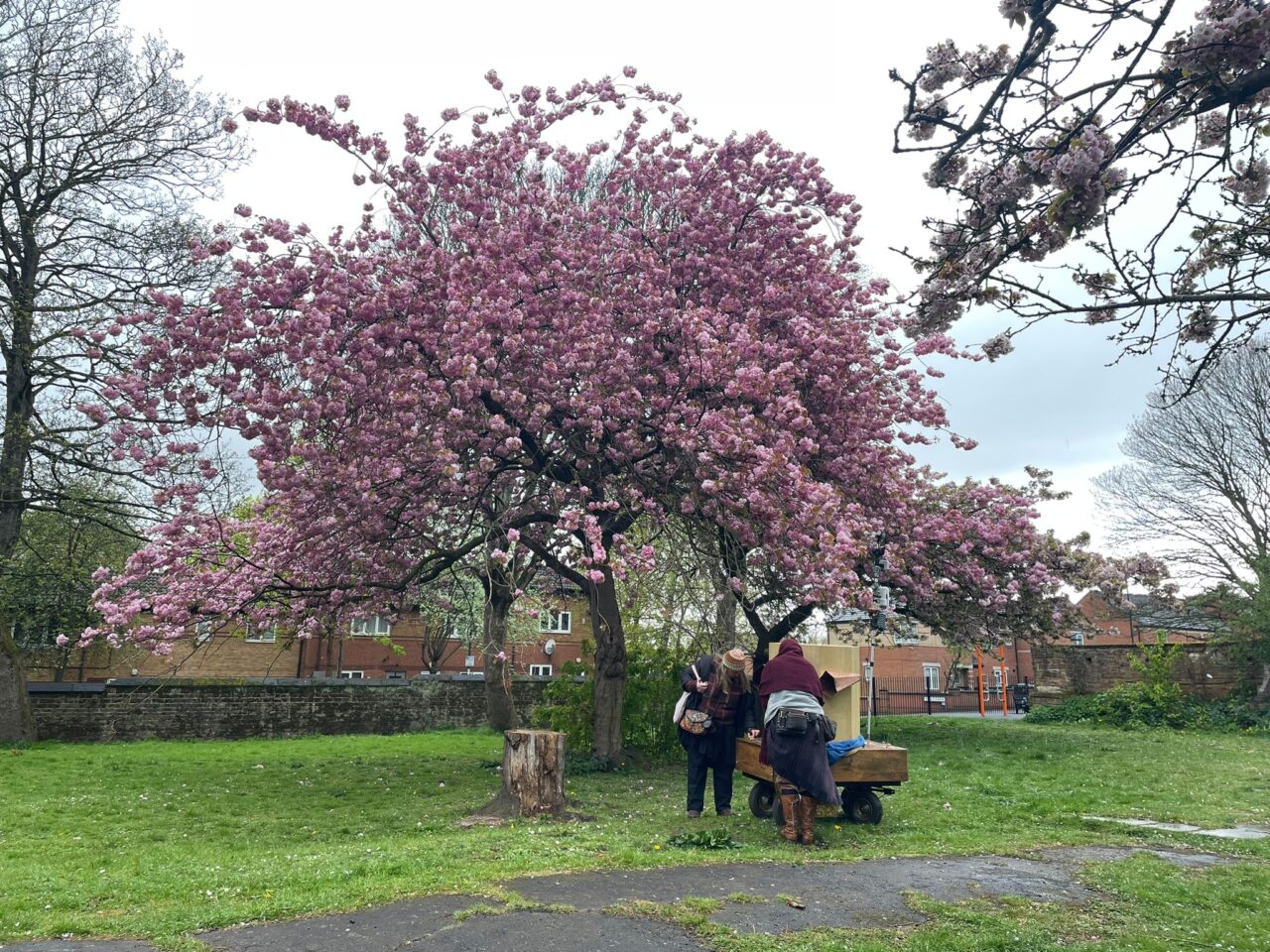 blossom tree, Future Machine's companion and a woman bending over Future Machine