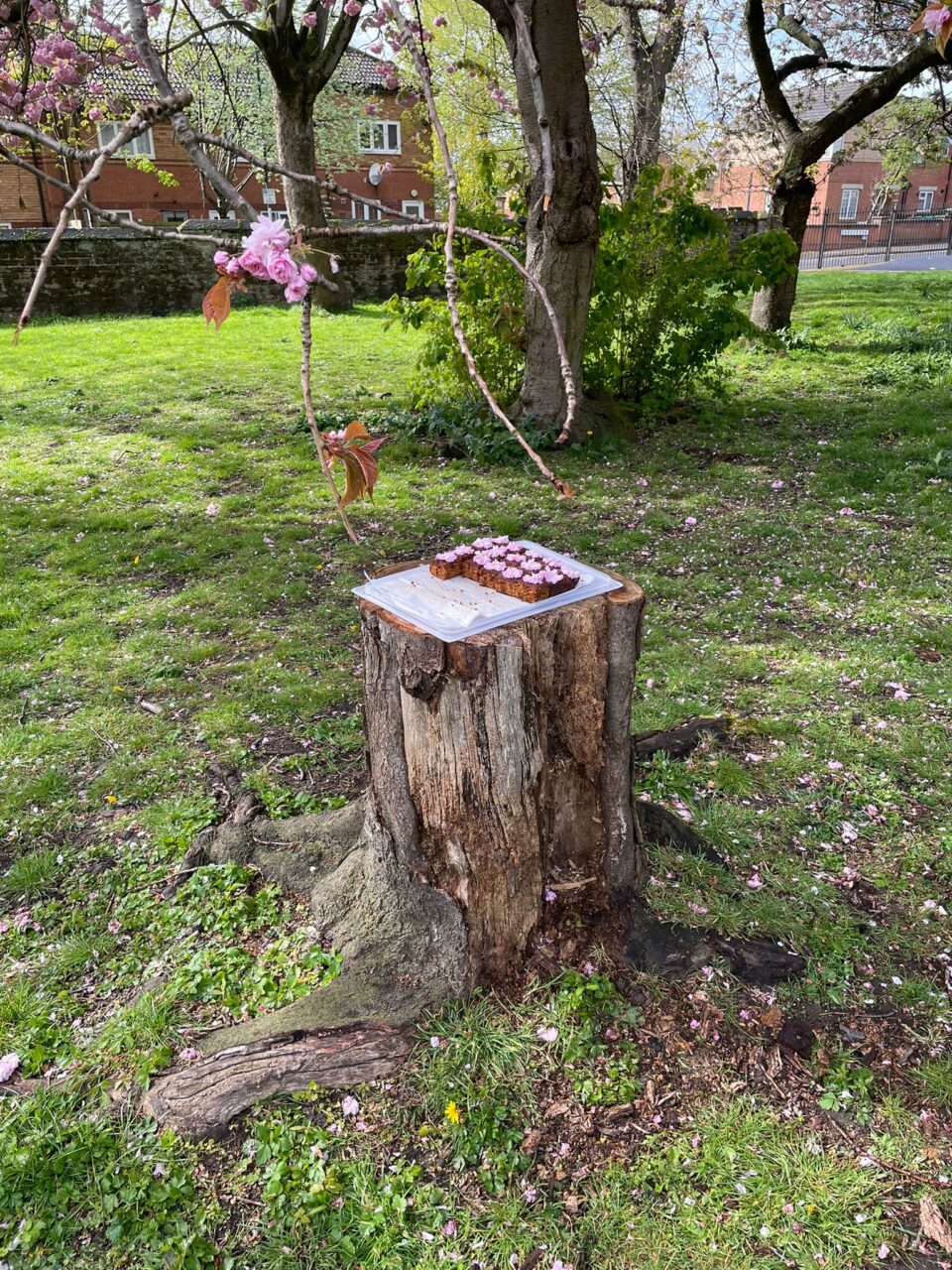 tree stump with blossom cake on the top