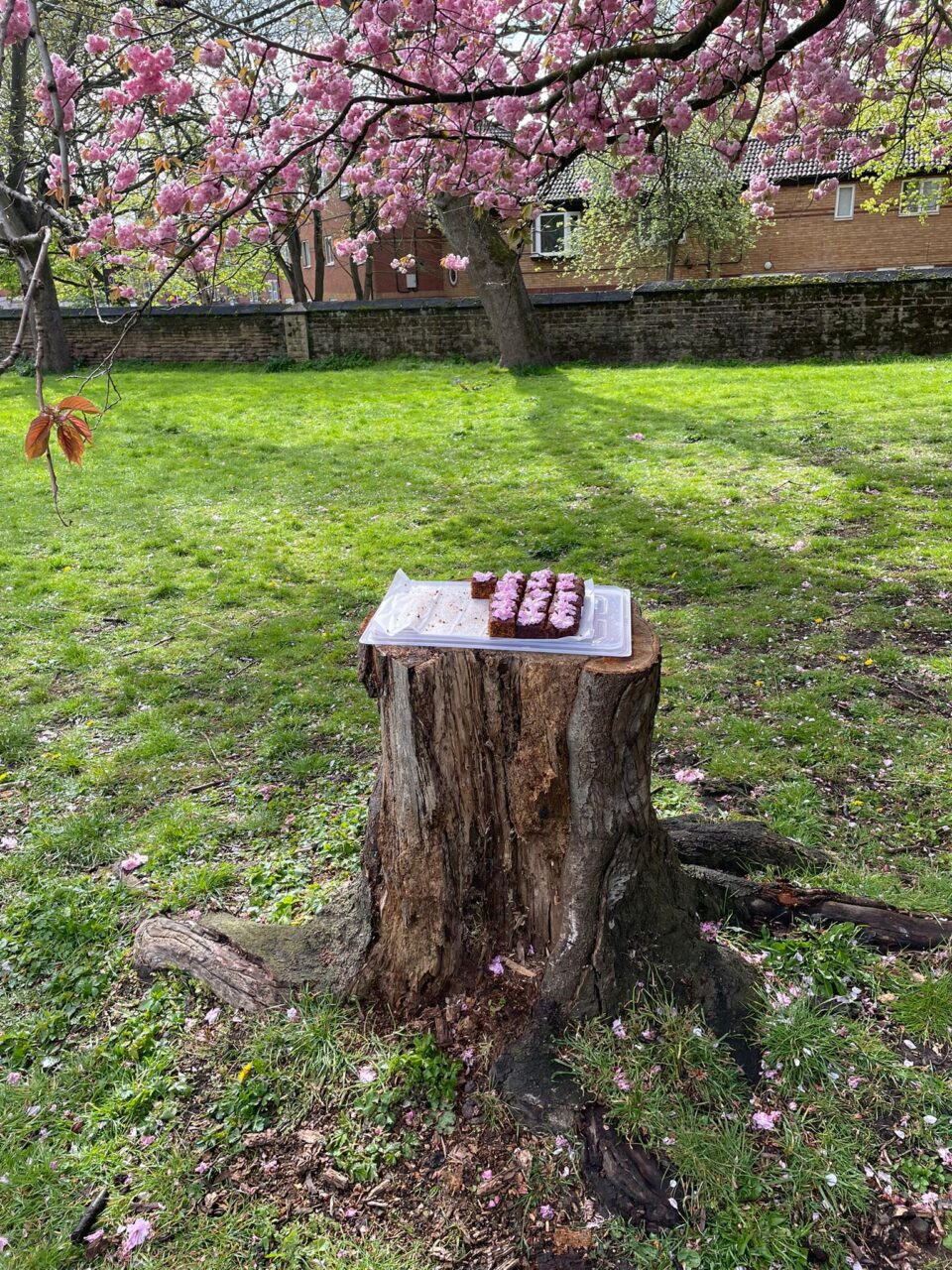 tree stump with blossom cake on the top