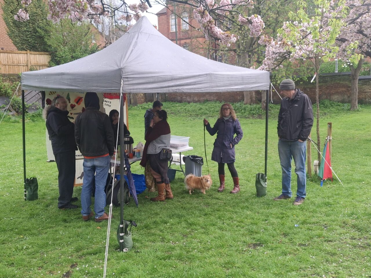 people standing under a gazebo with blossom trees in the background
