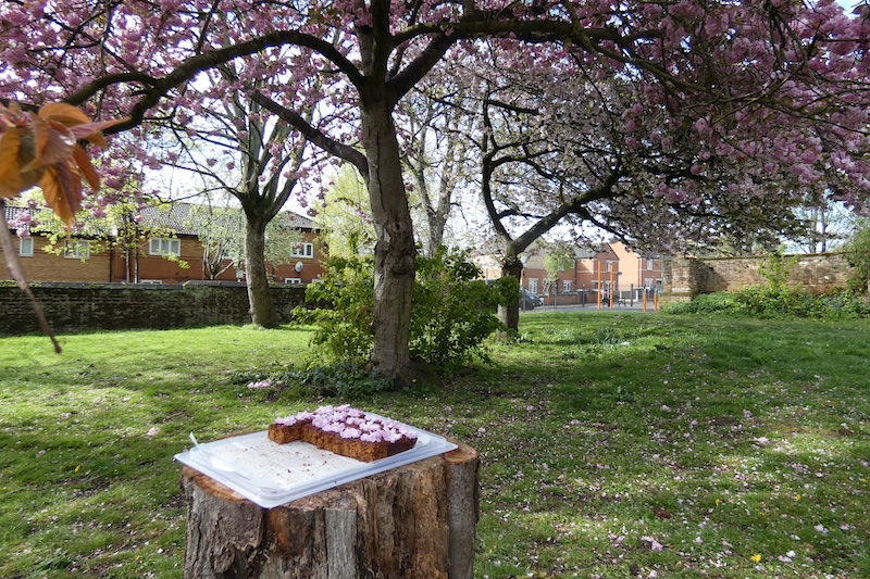 blossom cake on a stump with blossoms behind it