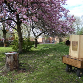Future Machine, blossom trees and a tree stump with blossom cake on it
