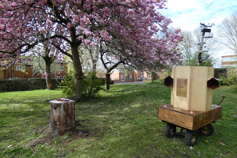 Future Machine, blossom trees and a tree stump with blossom cake on it