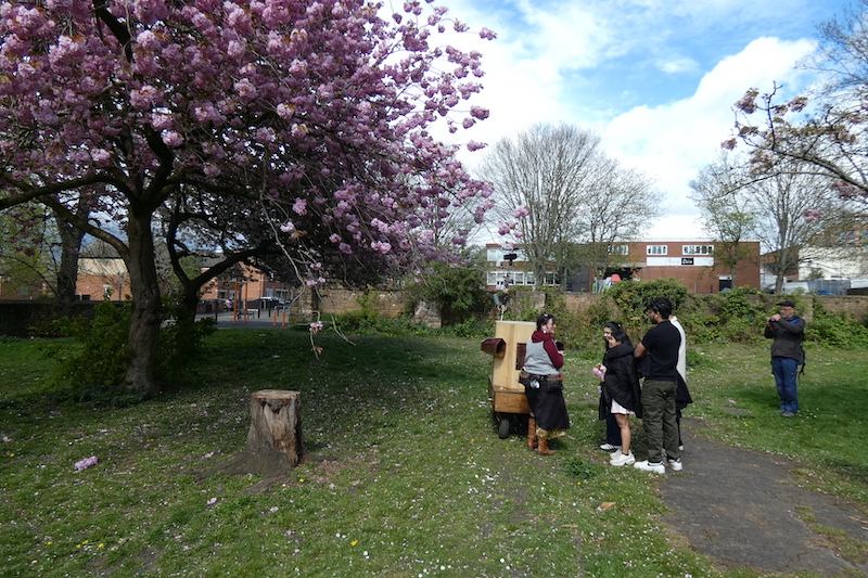 people standing around the Future Machine next to a pink blossom tree and the tree stump